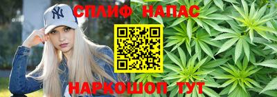 мяу мяу мука Краснознаменск