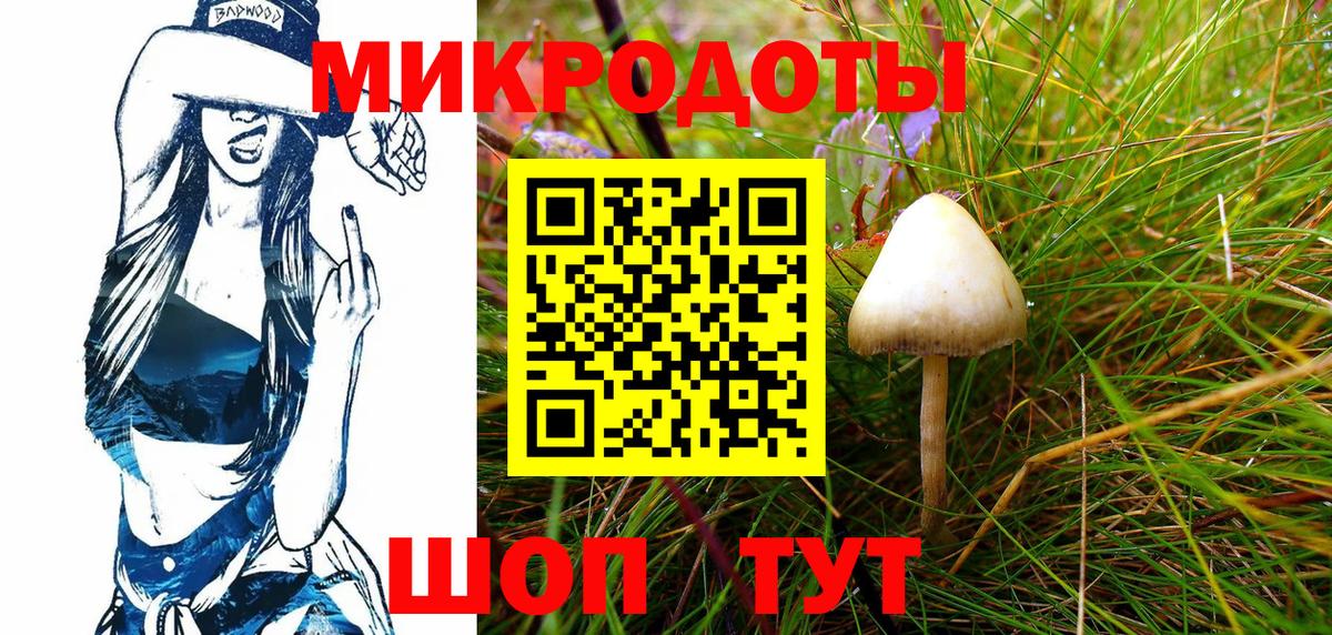 Галлюциногенные грибы Psilocybe  Вход с VPN  Казань 